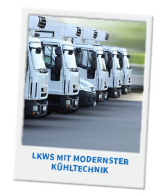Informiere Dich über die freien Ausbildungsplätze im Bereich Cash & Carry- und Zustellgroßhandel! LKWs mit modernster Kühltechnik: Jetzt Ausbildung beginnen!